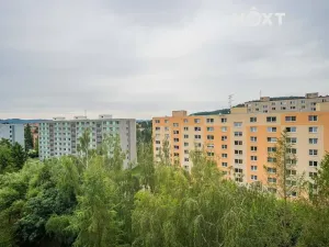 Prodej bytu 2+1, Šumperk, Jugoslávská, 46 m2