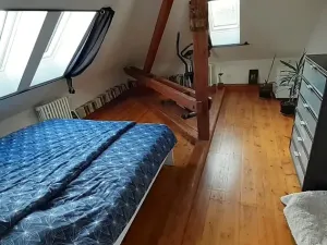 Prodej bytu 3+1, Průhonice, Říčanská, 171 m2