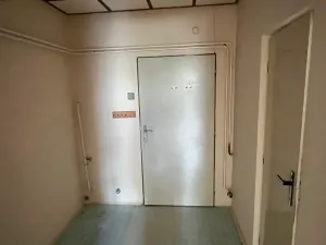 Pronájem bytu 2+1, Prostějov, Vrahovická, 84 m2