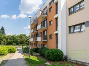 Prodej bytu 2+kk, Praha, Zimova, 63 m2