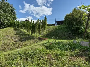 Prodej zahrady, Vrchlabí, 389 m2