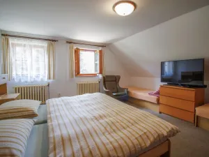 Prodej chalupy, Kolinec - Sluhov, 152 m2