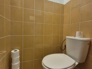 Pronájem bytu 2+1, České Budějovice, Plzeňská, 65 m2