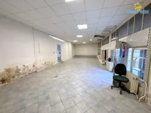 Pronájem obchodního prostoru, Praha - Krč, Budějovická, 164 m2