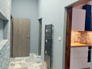 Pronájem bytu 2+kk, Karlovy Vary, Foersterova, 50 m2