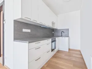 Pronájem bytu 2+kk, Olomouc, Třída Jiřího Pelikána, 46 m2