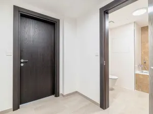Pronájem bytu 2+kk, Olomouc, Třída Jiřího Pelikána, 46 m2