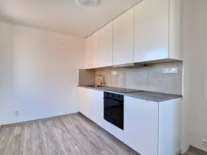 Pronájem bytu 3+kk, Litoměřice - Předměstí, U Katovny, 66 m2
