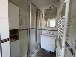 Pronájem bytu 3+1, Hodonín, Lesní, 74 m2