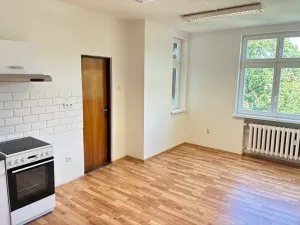 Pronájem bytu 1+kk, Karlovy Vary, T. G. Masaryka, 27 m2