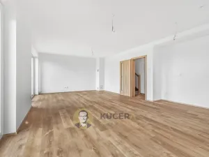 Prodej bytu 5+kk, Nemyslovice, 145 m2