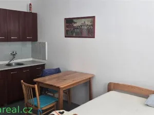 Pronájem bytu 1+kk, Brno - Lesná, Halasovo náměstí, 29 m2