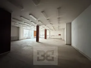 Prodej obchodního prostoru, Chomutov, Zahradní, 14070 m2