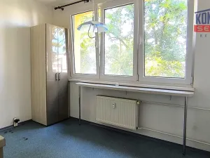 Prodej bytu 3+1, České Budějovice, Dobrovodská, 82 m2