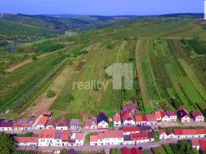 Prodej rodinného domu, Bořetice, 183 m2