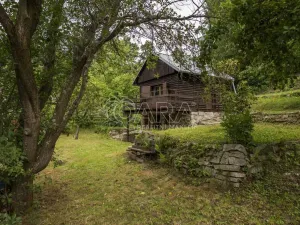 Prodej chaty, Písek - Budějovické Předměstí, 18 m2