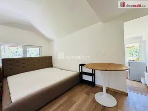 Prodej chaty, Hradištko - Brunšov, 40 m2