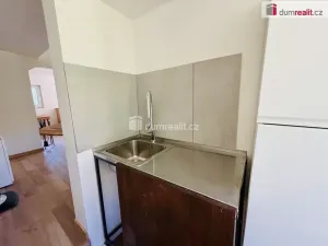 Prodej chaty, Hradištko - Brunšov, 40 m2
