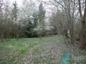 Prodej chalupy, Bečice, 502 m2
