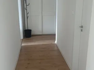 Pronájem bytu 2+kk, Ostrava, Palackého, 50 m2