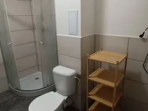 Pronájem bytu 2+kk, Ostrava, Palackého, 50 m2