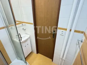 Pronájem bytu 2+1, Ostrava - Hrabůvka, Alberta Kučery, 60 m2