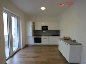 Pronájem bytu 1+kk, Praha, Štěchovická, 40 m2