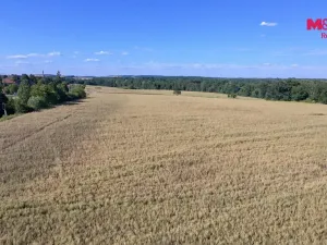 Prodej pozemku pro bydlení, Čimelice, 1090 m2