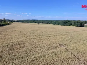 Prodej pozemku pro bydlení, Čimelice, 1052 m2