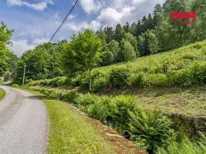 Prodej pozemku pro bydlení, Dolní Dvůr, 9366 m2