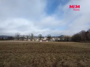 Prodej louky, Budišov nad Budišovkou, 6470 m2