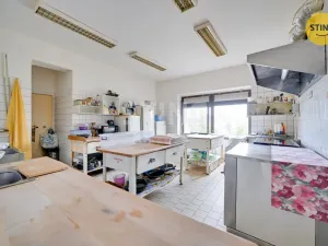 Prodej restaurace, Strážnice, Skalická, 360 m2