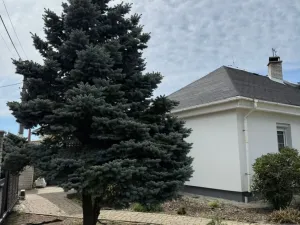 Pronájem rodinného domu, Úvaly, Purkyňova, 160 m2