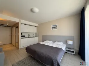 Prodej bytu 1+kk, Dolní Morava, 27 m2