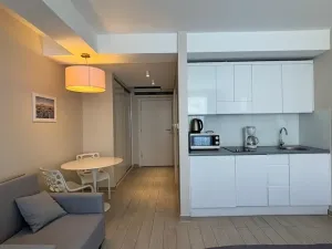 Prodej bytu 1+kk, Dolní Morava, 27 m2