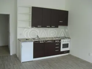 Pronájem bytu 1+kk, Praha - Vršovice, Pod Rapidem, 26 m2