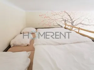 Pronájem bytu 1+kk, Praha - Nusle, Sekaninova, 35 m2