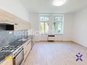 Pronájem bytu 2+kk, Opava - Předměstí, Veleslavínova, 60 m2