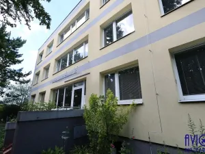 Prodej bytu 2+kk, Praha - Radlice, Tetínská, 46 m2