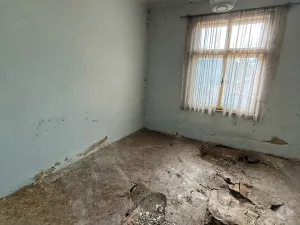 Prodej rodinného domu, Velká Hleďsebe - Klimentov, 210 m2