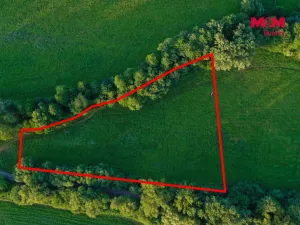 Prodej louky, Horní Bříza, 4590 m2