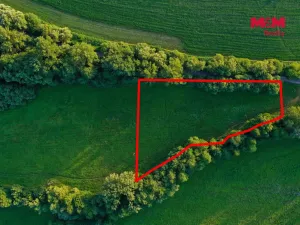 Prodej louky, Horní Bříza, 4590 m2