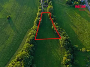 Prodej louky, Horní Bříza, 4590 m2