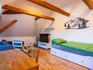 Pronájem bytu 1+kk, Staré Buky - Prostřední Staré Buky, 35 m2