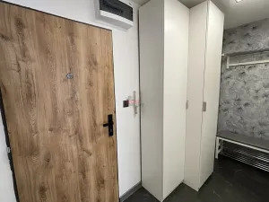 Pronájem bytu 1+1, Ostrava, Bohumínská, 27 m2