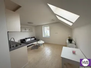 Prodej bytu 1+kk, Horní Planá, Palackého, 25 m2