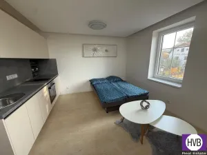 Prodej bytu 1+kk, Horní Planá, Palackého, 25 m2