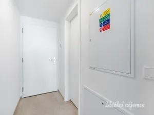 Pronájem bytu 1+kk, Praha - Smíchov, Plzeňská, 29 m2