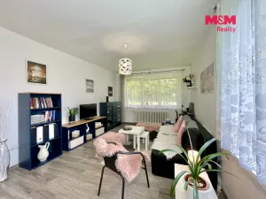 Prodej bytu 2+1, Ostrava - Moravská Ostrava, Mariánskohorská, 60 m2
