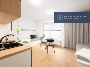 Pronájem bytu 1+kk, Brno, Cejl, 31 m2